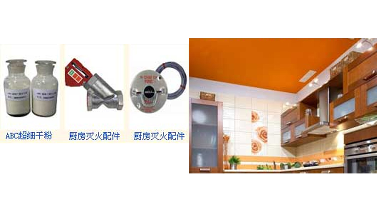 UL認(rèn)證安素ansul食人魚/R102廚房滅火系統(tǒng)