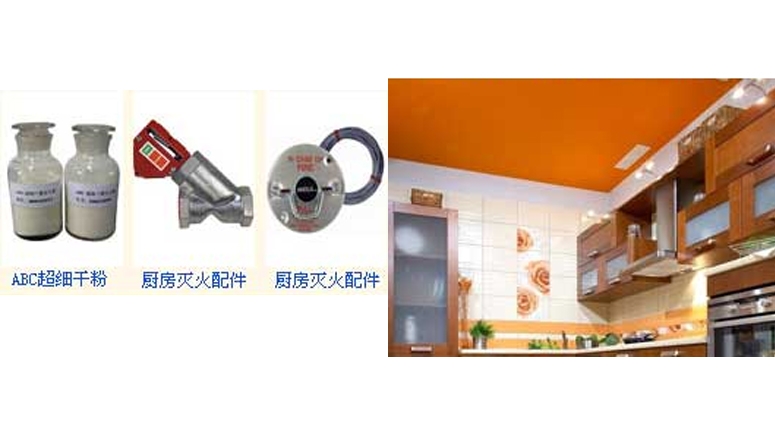 UL認(rèn)證安素ansul食人魚/R102廚房滅火系統(tǒng)